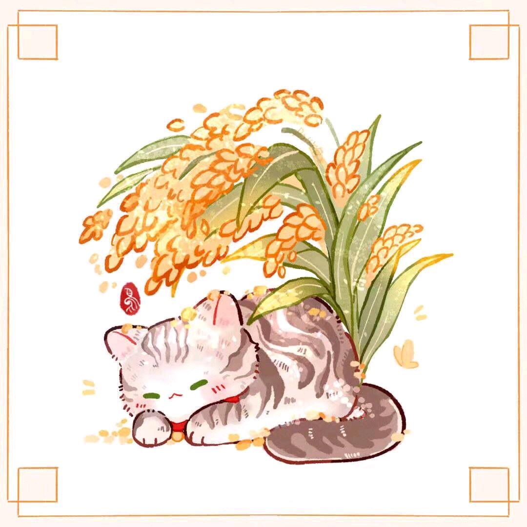 闲览随记