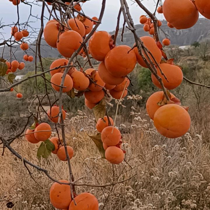 天助自助也