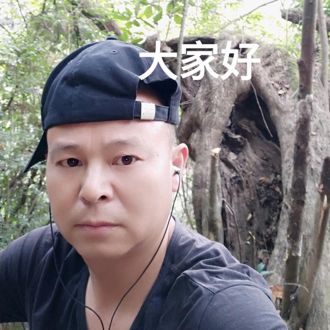 半梦半醒过一生