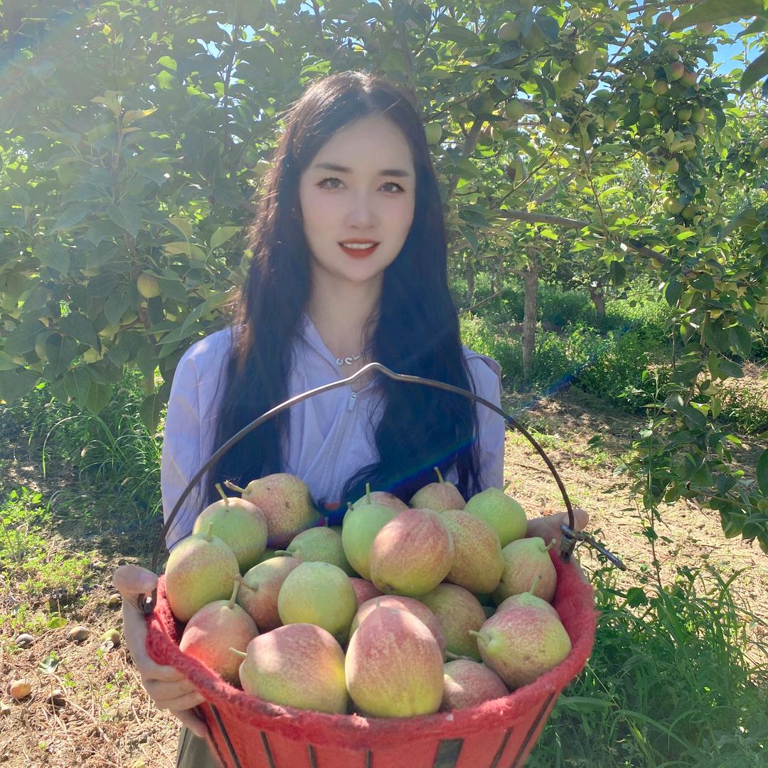 阿克苏兴旺物流