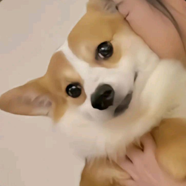 宁晋泽暄包装
