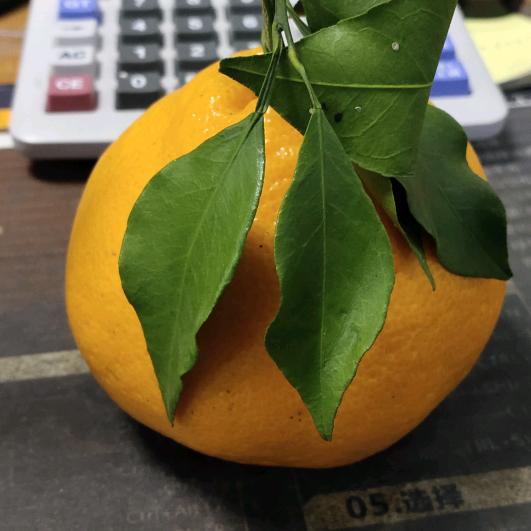 大海之滴