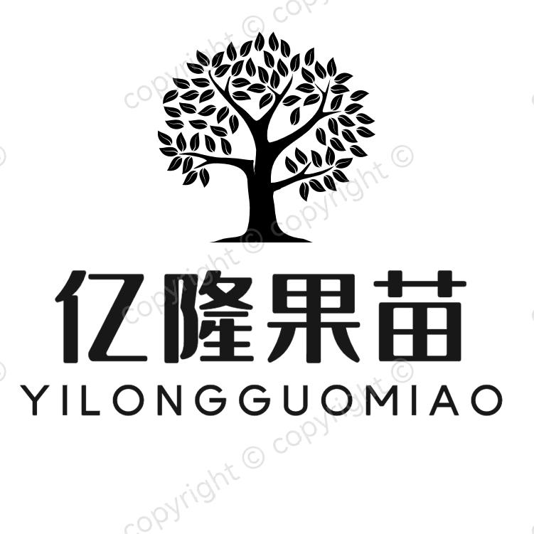 广西亿隆果苗