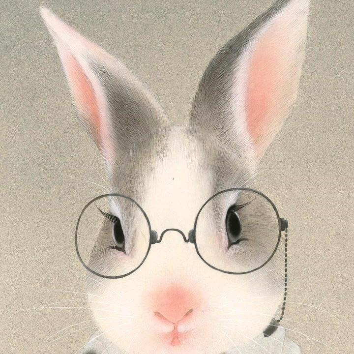 吉祥兔兔🐇