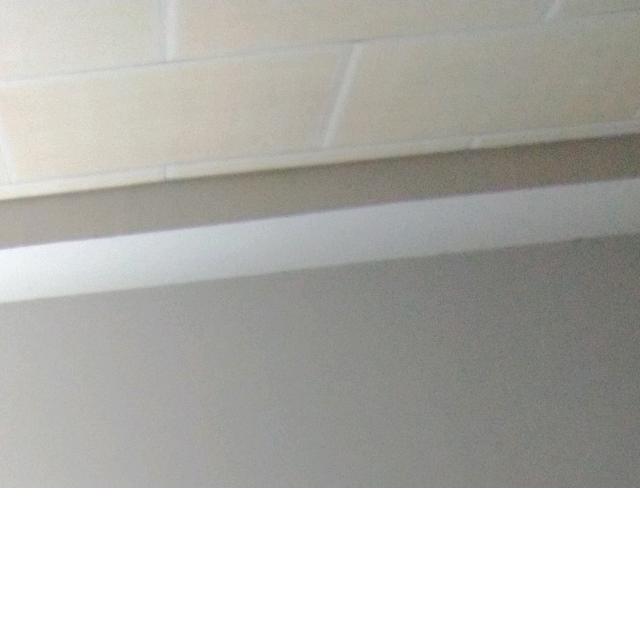 他她tttt