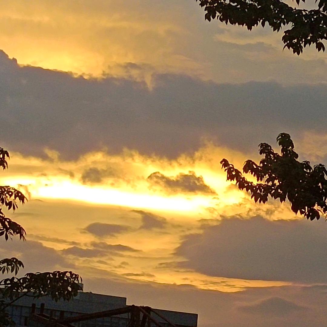 *🌞*