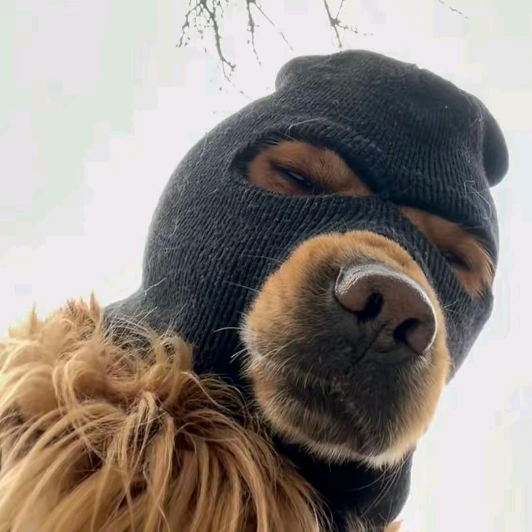 乌克兰第一探花