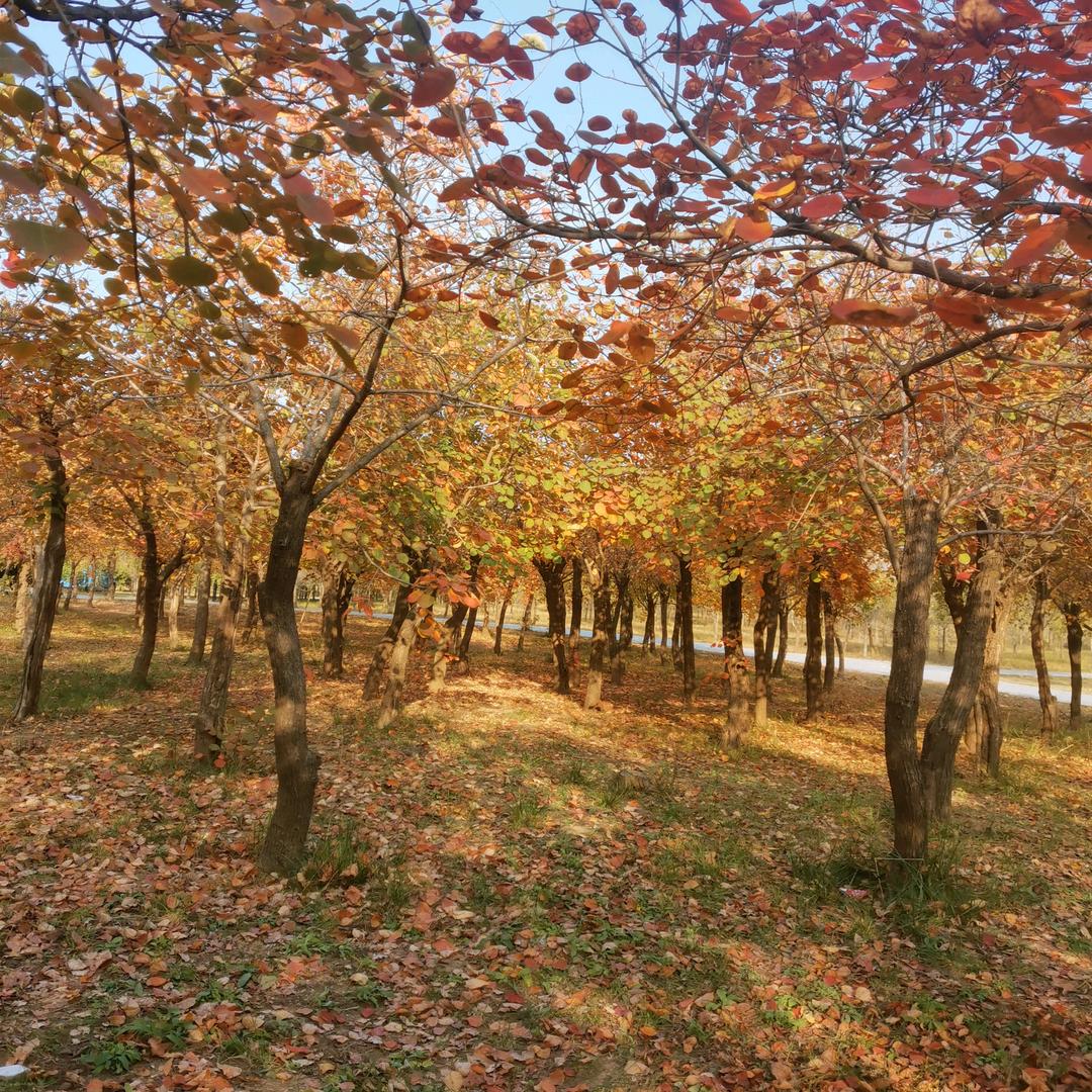 期待(๑˙ー˙๑)