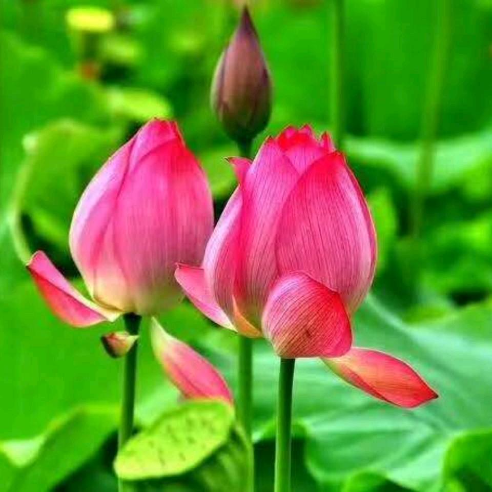 我是开心每一天