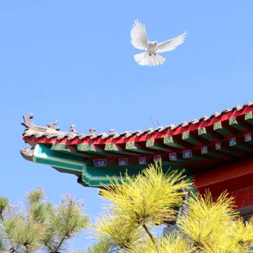 高碑店市新城紫泉中学