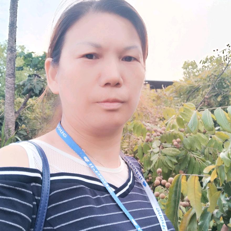 袜元素一佑梅
