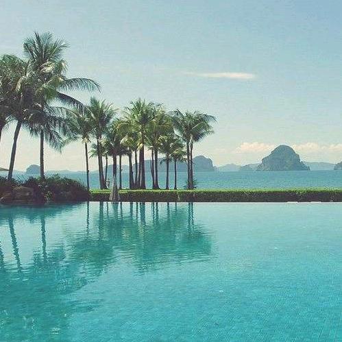 🌹🌹87年🌹🌹🐇🐇🐇🐇