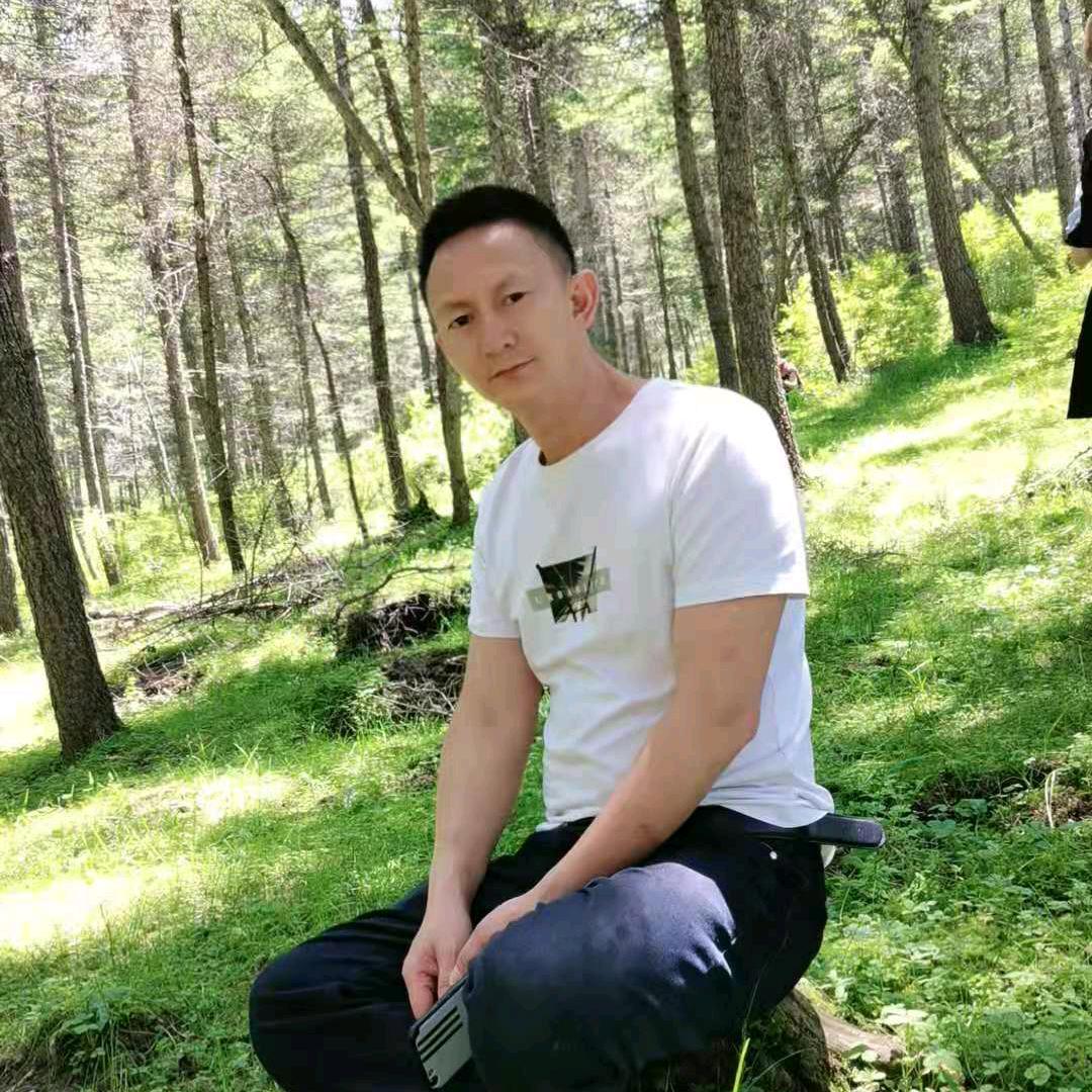 216902大雁高飞