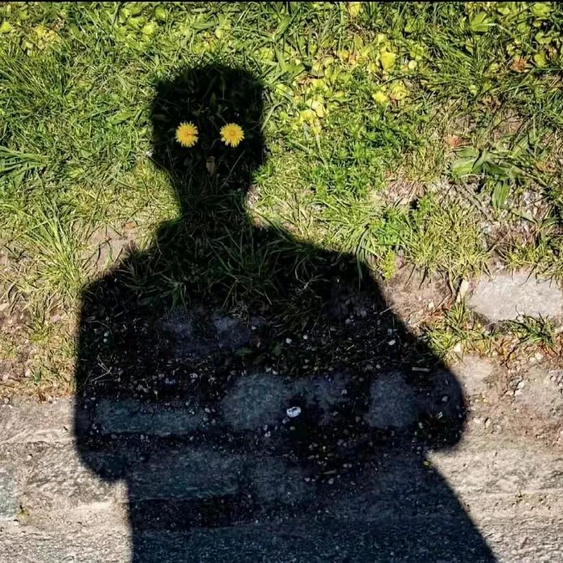 ᝰꫀꪶડ꧖ꦿ🐋