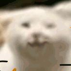 暗夜★英雄(肝寒假作业版)