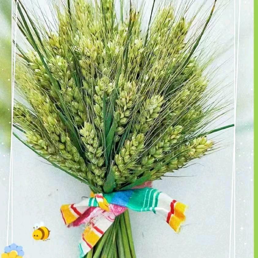 电动门伸缩门车牌识别智能门控