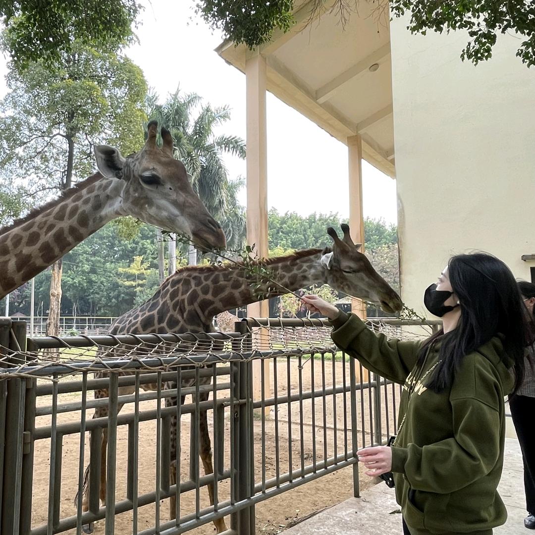 林戴妹妹💕