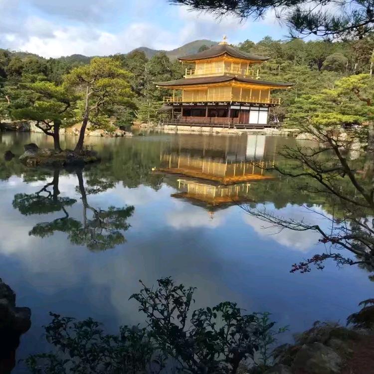 酒瓶子咋卖