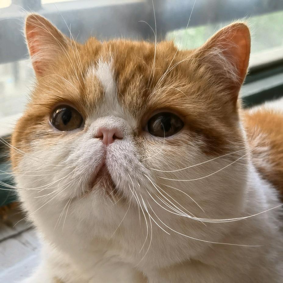 像我这样的女人