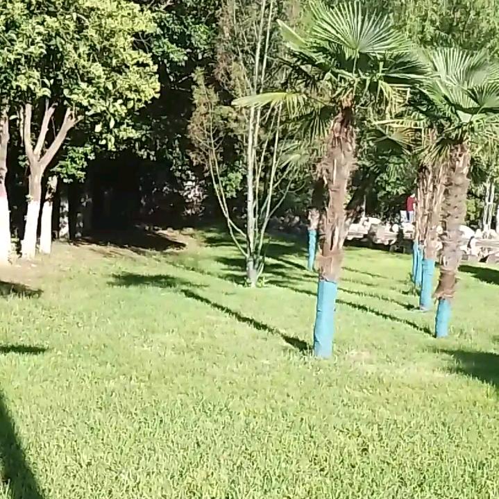 红忠穿搭显微镜