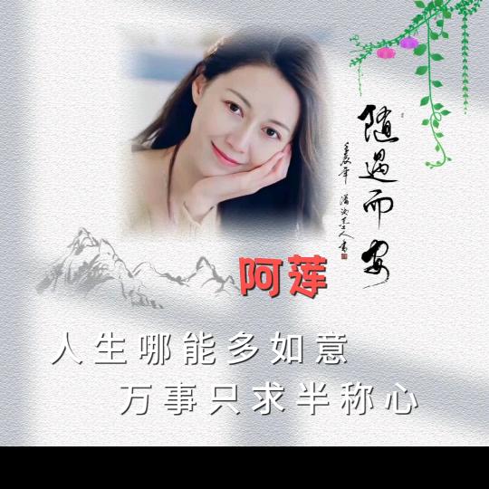 莲姐