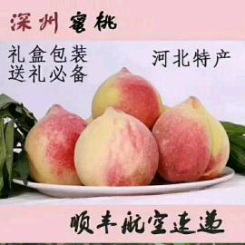 沐凡商贸