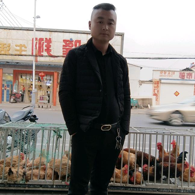 @小刚学长（老丁活禽店@丁沟店）