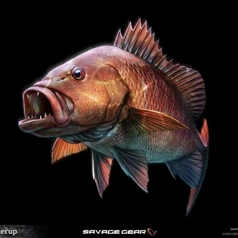 苏伊🎣海钓