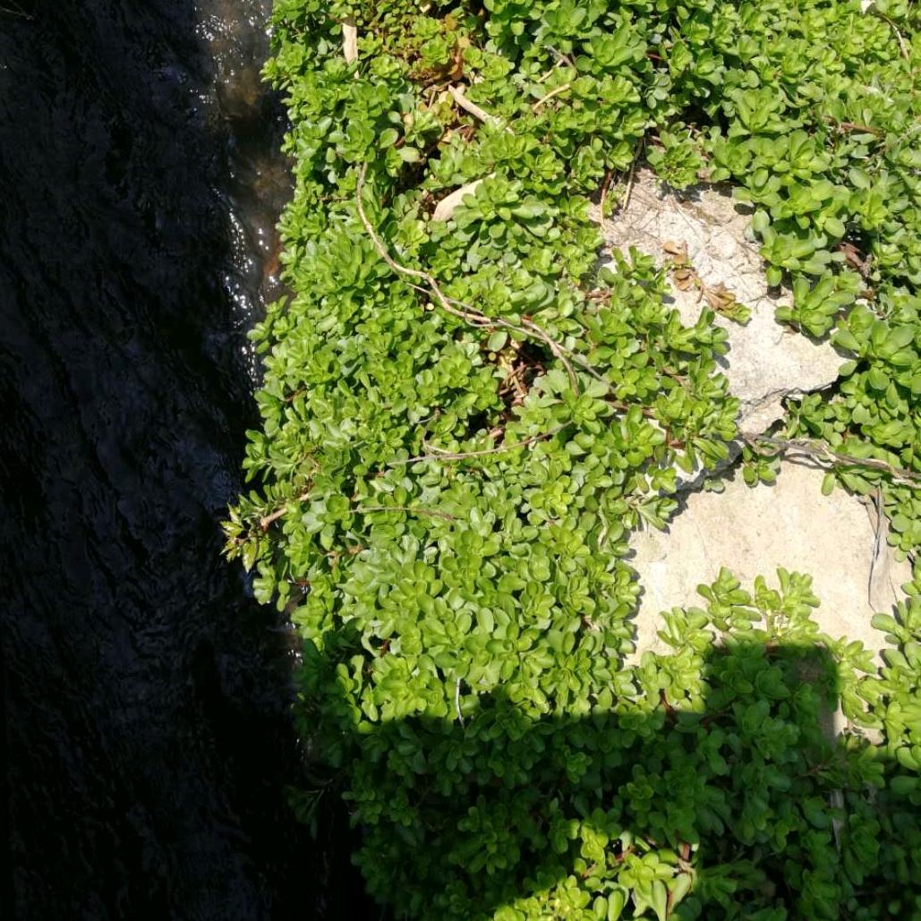 湖南秘境