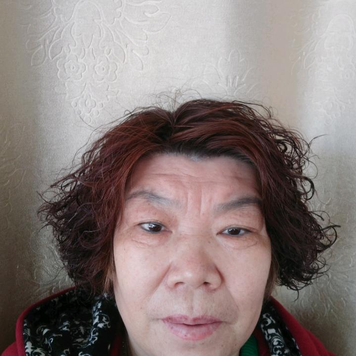 文文去那了