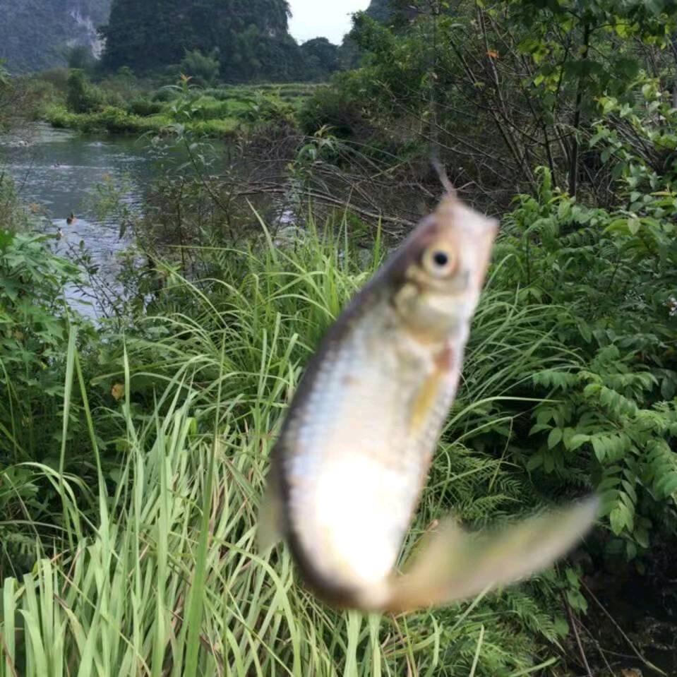 哈哈哈哈