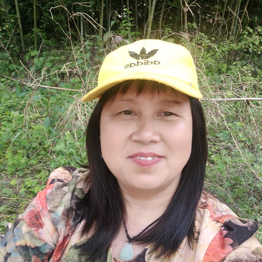 萍踪侠影