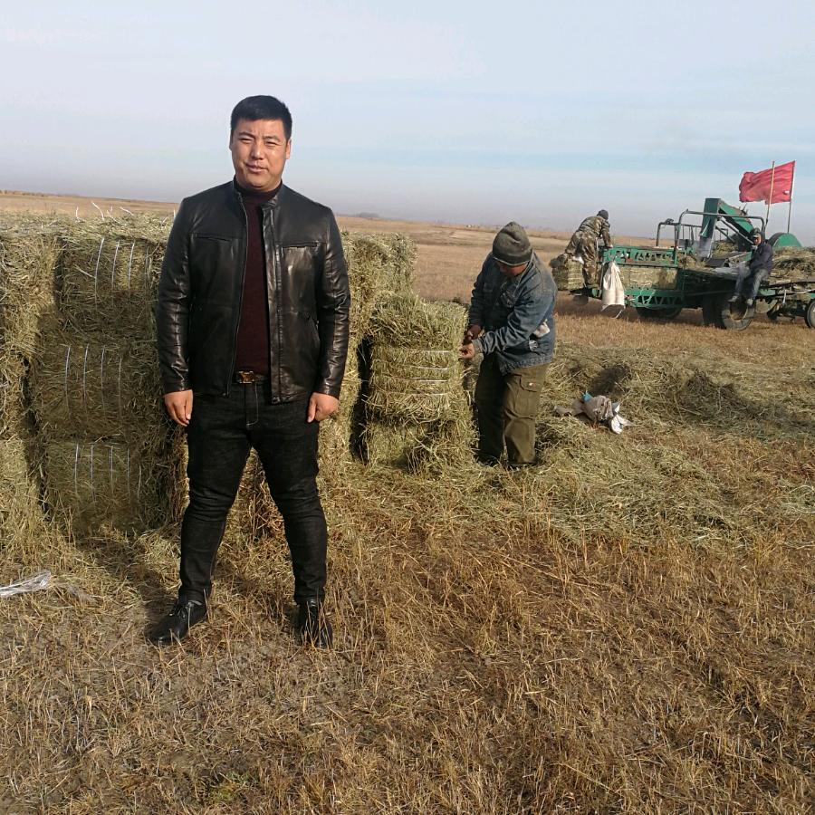 大成牧业有限公司