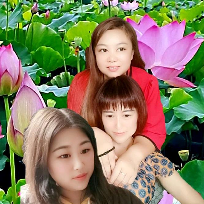 舒达启