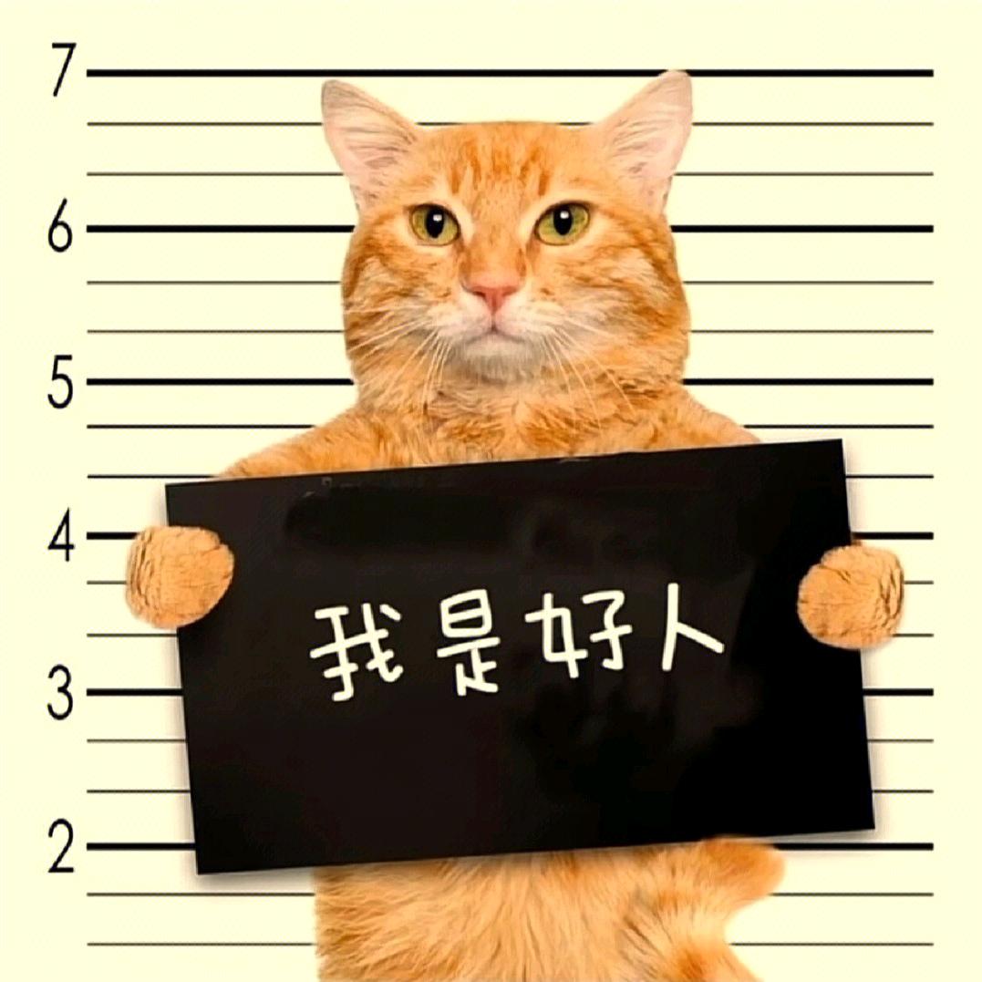 也許，