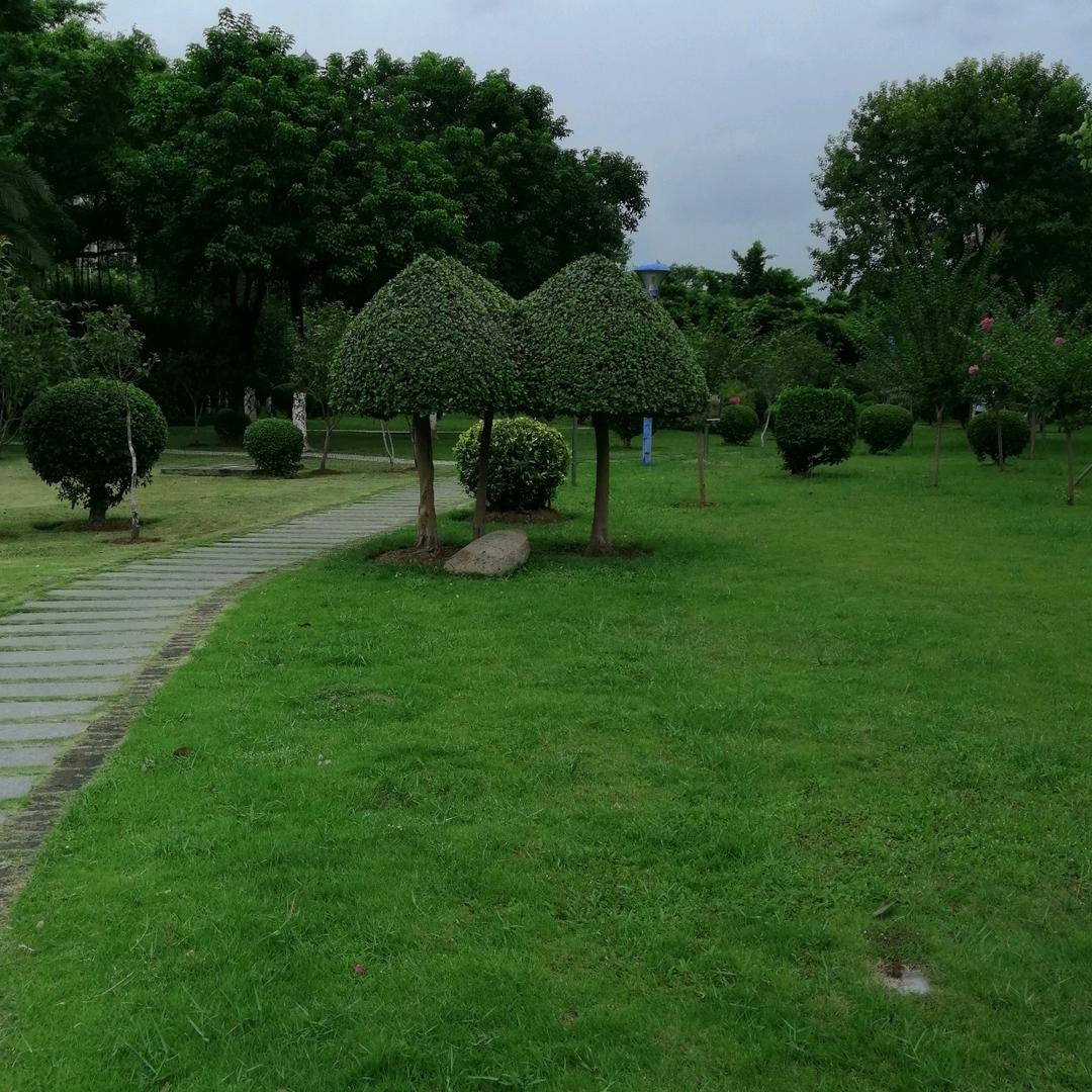 60度