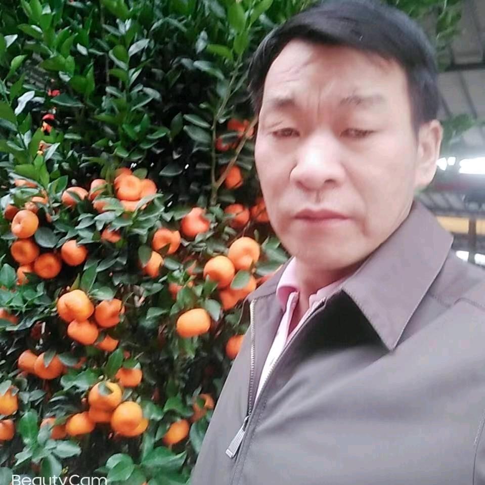 善解人意