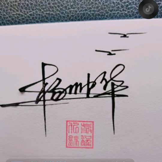杨了个杨个杨