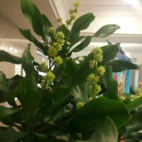 一马平川9744494211873