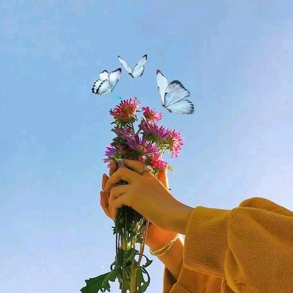 ᥫᦱᐝ姜🌻⃟⸜小姜᭄