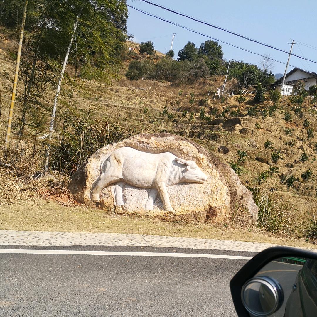 奋斗青春