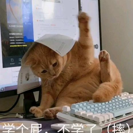 ▲删除记忆。(搬砖ing)