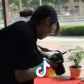 博