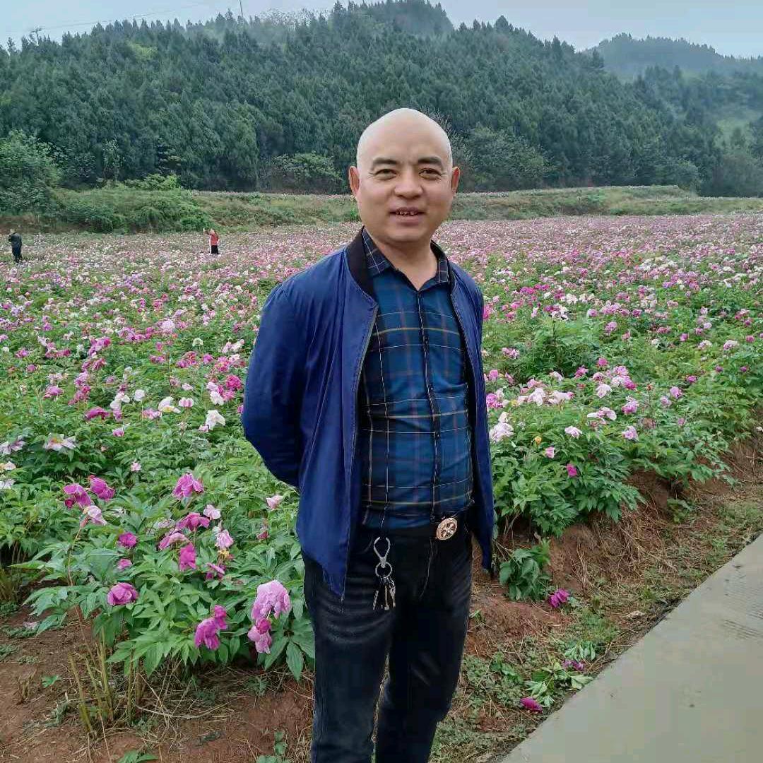 一汪情深