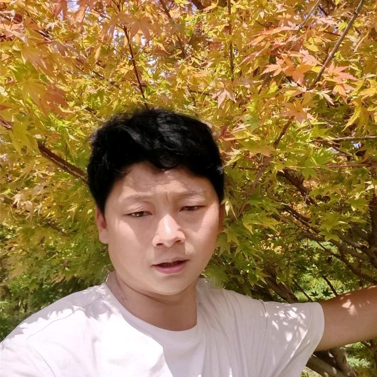 苦命木材人