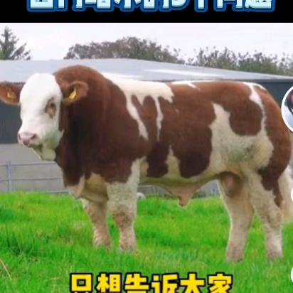 曾海波。百里洲，黄牛品改站。