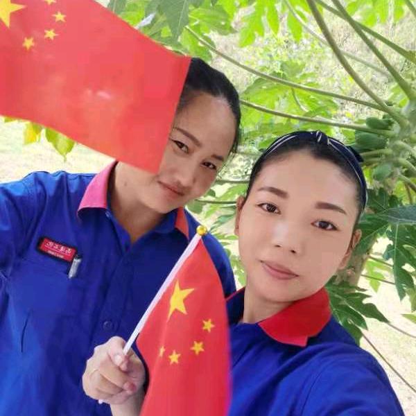 林城镇中学对面红梅蔬果