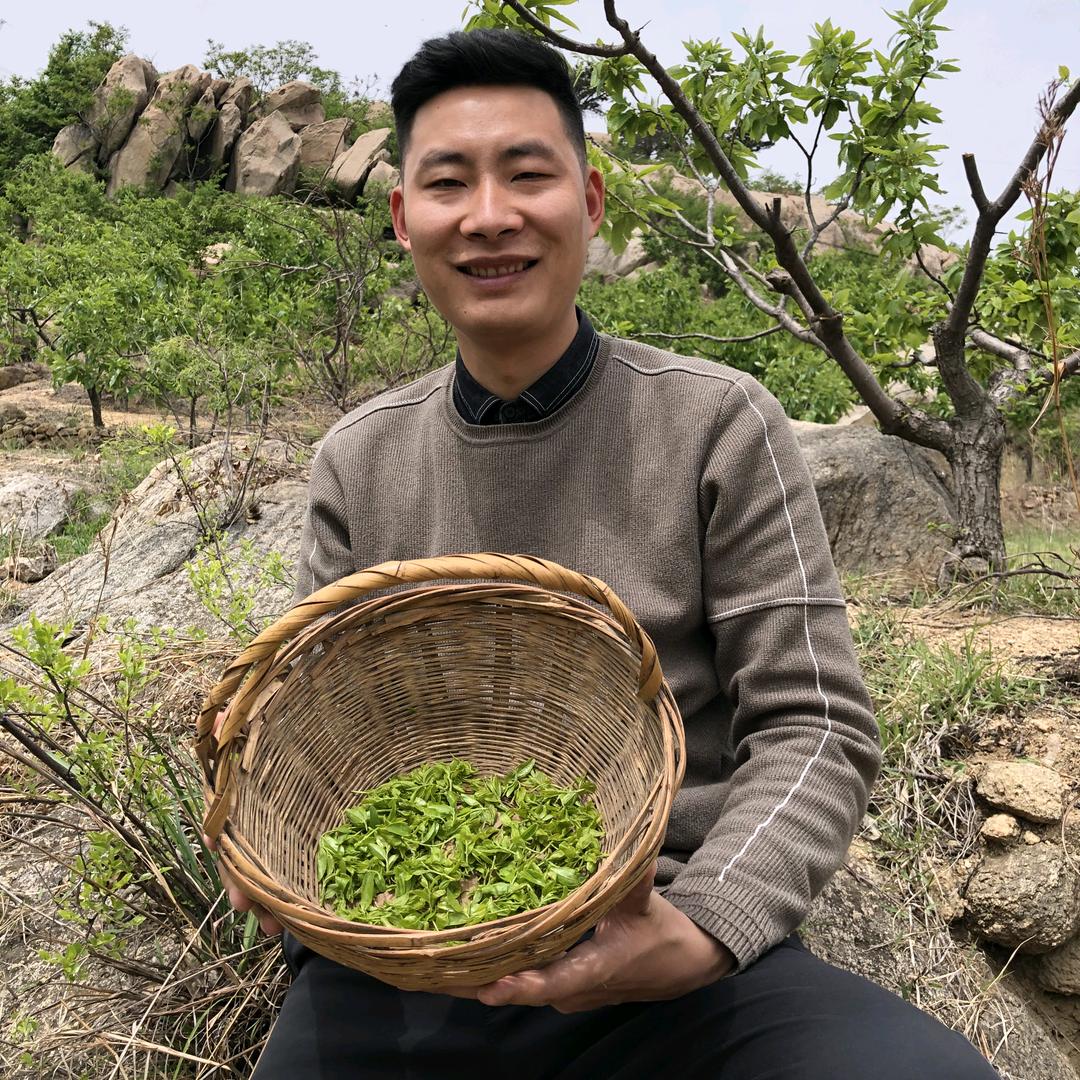 大盛讲本草