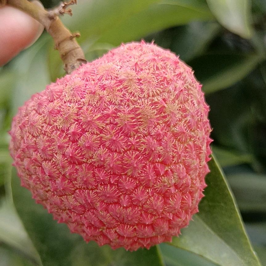 累得狠