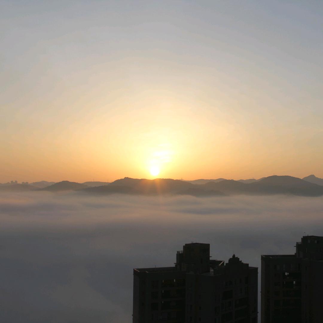 海岛